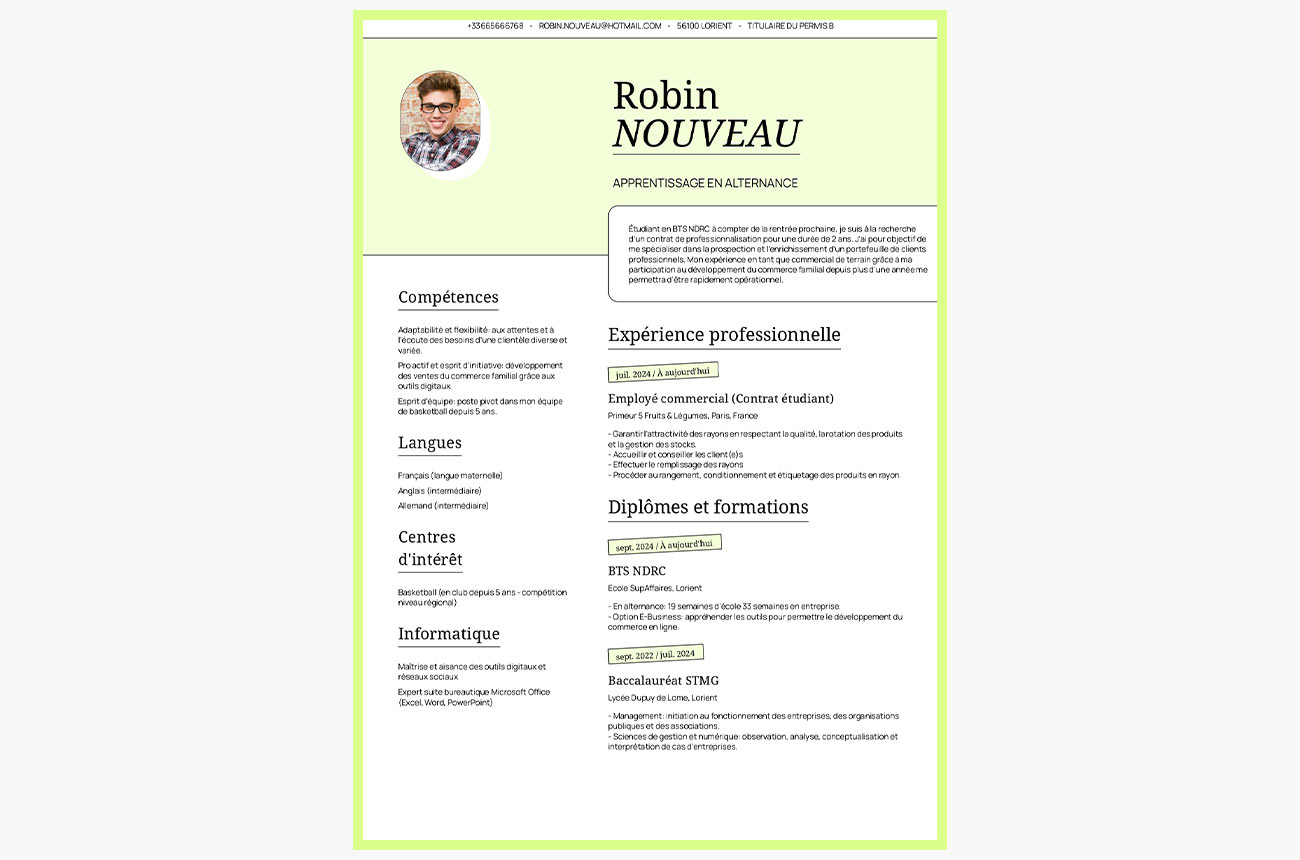 cv alternance
